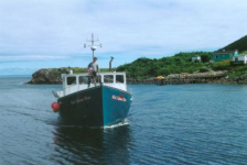499: The "Red Island Rose". (circa 2000) [courtesy of Madonna (Bishop) Mulrooney]